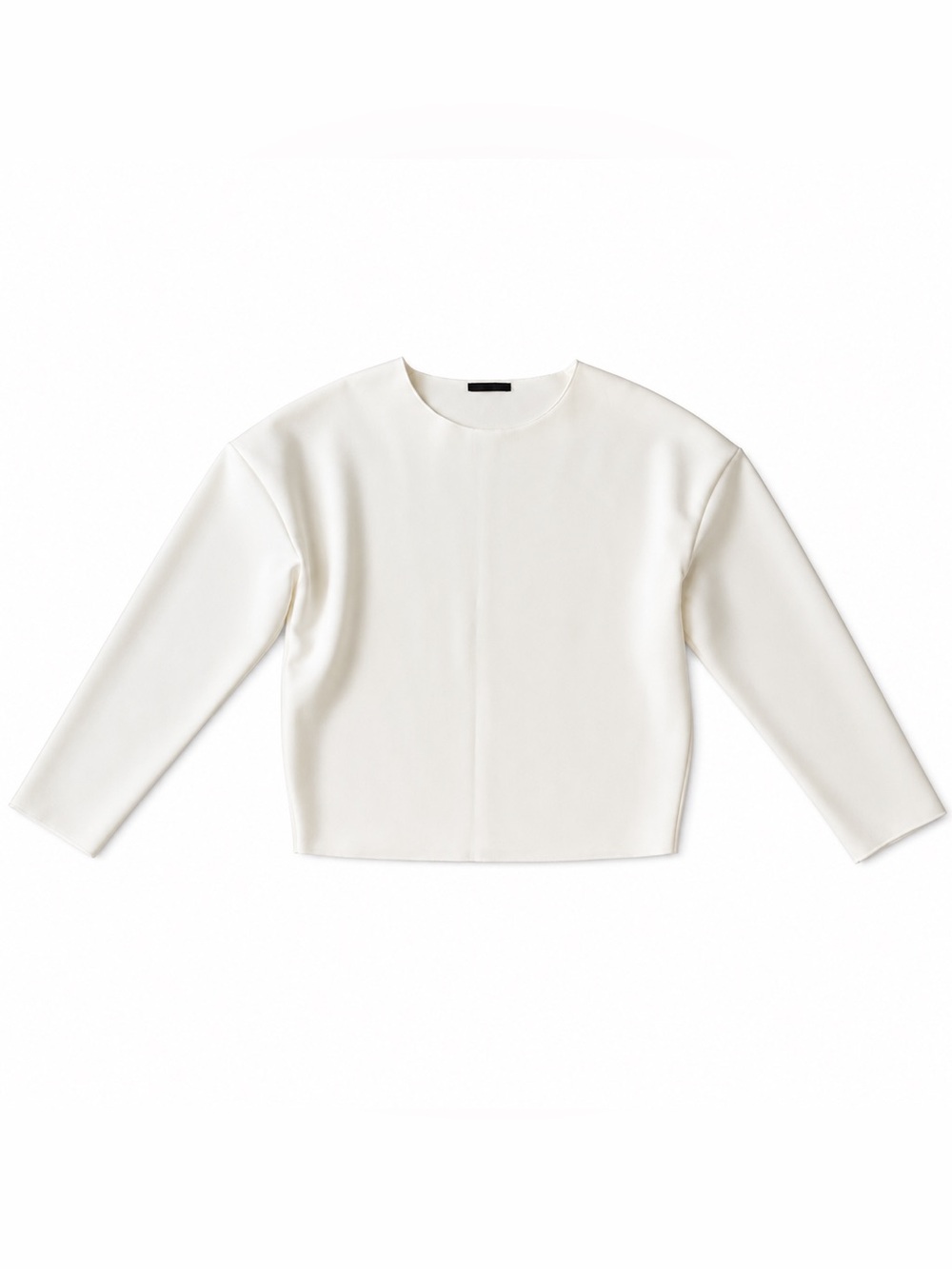 Pinko Cropped Long-Sleeve Crewneck Top in Off-White